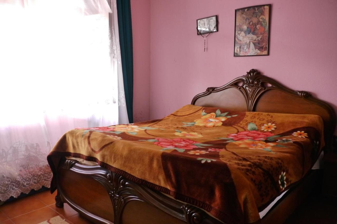 Florians Guesthouse Shkodër Rum bild