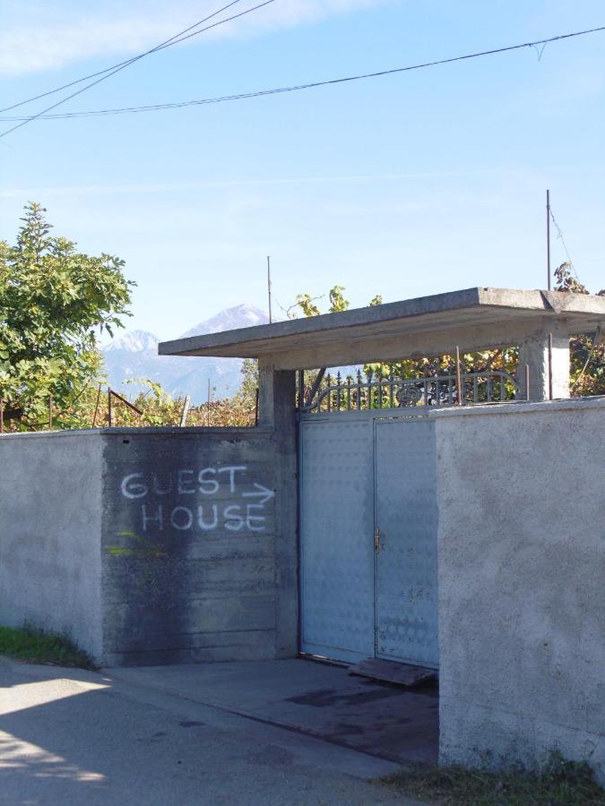 Florians Guesthouse Shkodër Exteriör bild